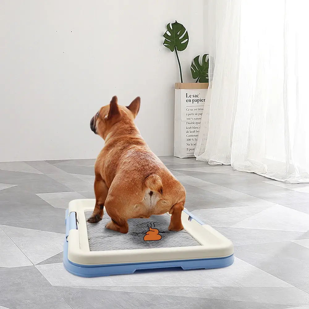 Pet'S Tragbare Töpfchentrainingstoilette
