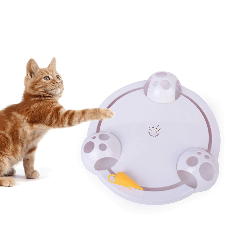 Pounce Katzenspielzeug