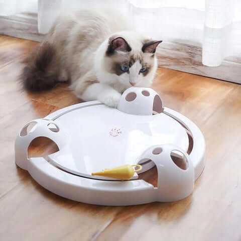 Pounce Katzenspielzeug