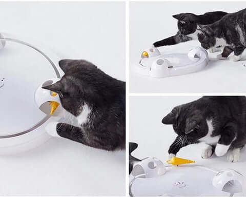 Pounce Katzenspielzeug