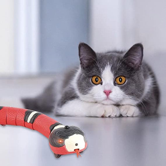 Schlange Katzenspielzeug