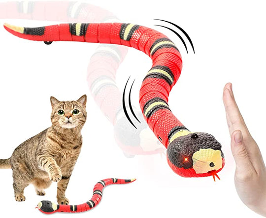 Schlange Katzenspielzeug