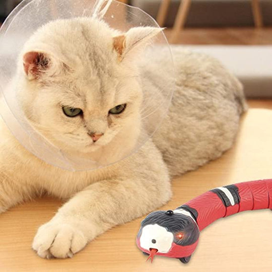 Schlange Katzenspielzeug