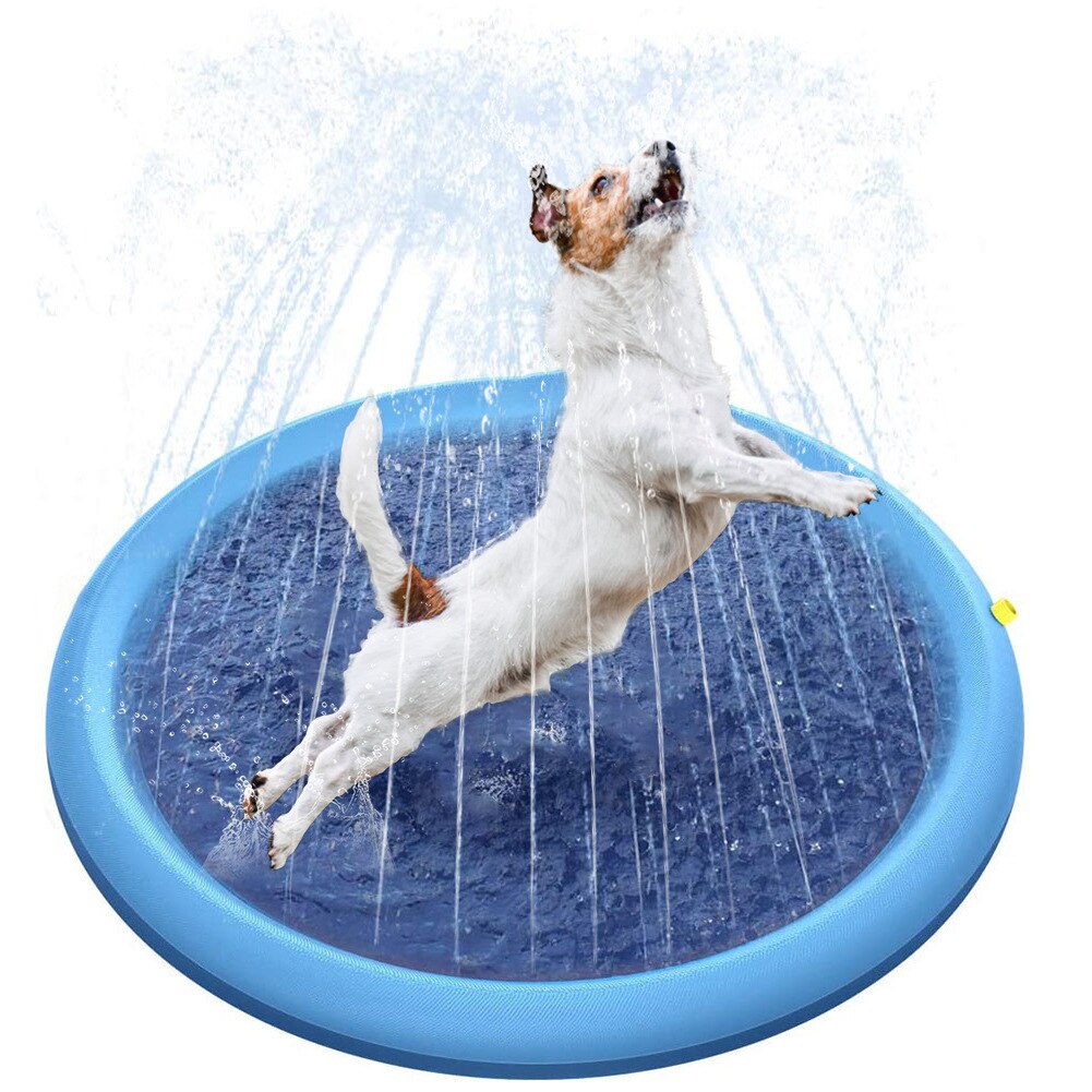 Splash & Spray Summer Haustier-Pool