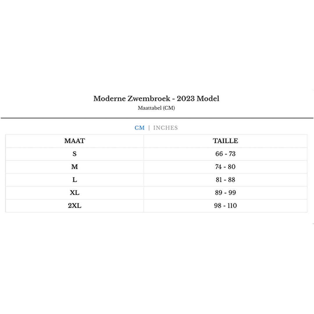 Moderner Badeanzug - Modell 2024