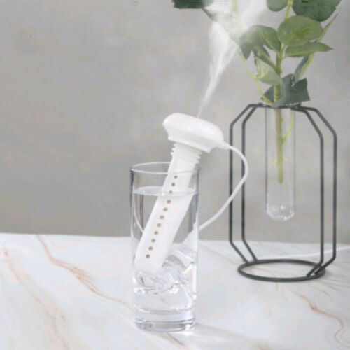 Wasserflaschen-Luftbefeuchter